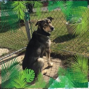 Meet your Posher, Misty